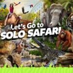 Let's Go to Solo Safari