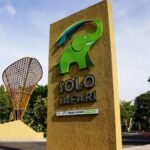 Welcome to Solo Safari