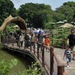 Friendly and Safety Visitors